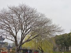 -葛仙湖公园