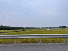 -代木儿回锅肉