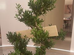 -守田肩颈·推拿SPA(颐豪旗舰店)