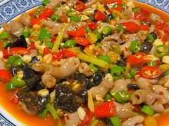 -新蜀会四川豆花(五羊店)
