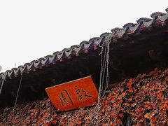-八大山人梅湖景区
