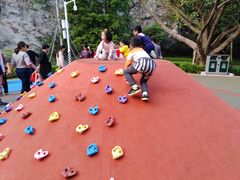 -金鸡山公园