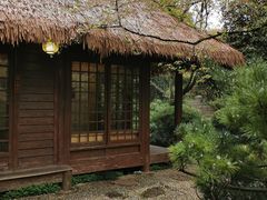 -中国茶叶博物馆(双峰馆区)