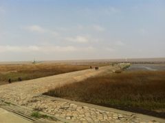 iphone_upload_pic-南汇嘴观海公园