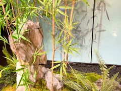 -绿茶餐厅(淮安吾悦广场店)