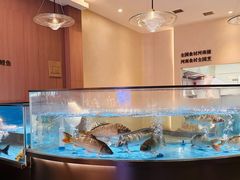 -阿庄新豫菜(航海东路店)