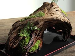 -星巴克(汇亚大厦店)