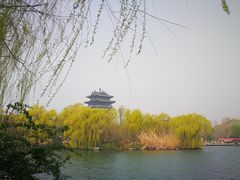-济南大明湖景区