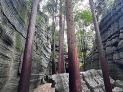 -梭布垭石林景区