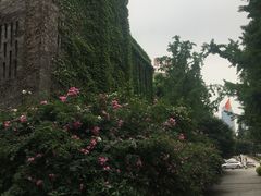 -百林公园-两江幸福广场