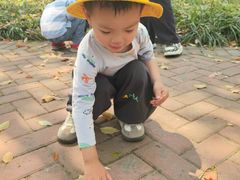 -豆初托育园 Baby Bean Day care Center