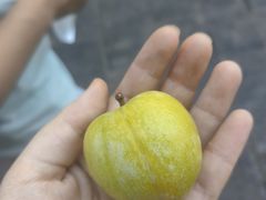 -捞沙巷