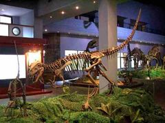 -自贡恐龙博物馆