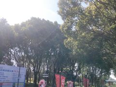 -蠡湖大桥公园