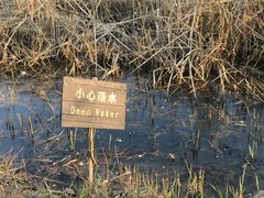 -前关湿地公园