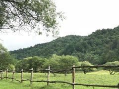 -大水川景区