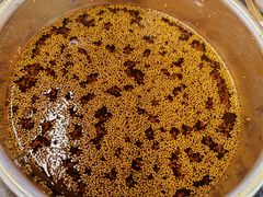 -徐妹串串香(春熙路店)