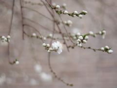 -雍和宫(地铁站)