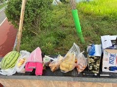 -灞河西岸滨河公园