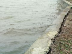 -艾溪湖湿地公园