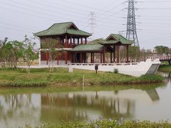 -王借岗森林公园
