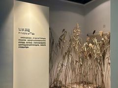 -上海长江河口科技馆