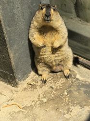 -酷嗒动物文化乐园(cutezoo西溪乐天城店)