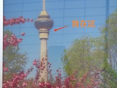 -中央广播电视塔