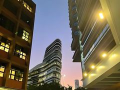 -香港大学
