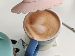 -喵的天空名猫咖啡馆·撸猫·猫舍·用品