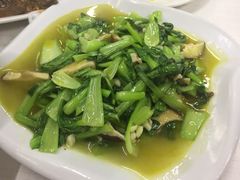 -姐妹食尚朴宿