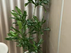 -江南宴•沿江菜江南味(七街店)
