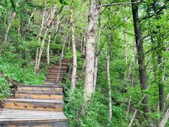 -白草畔自然风景区