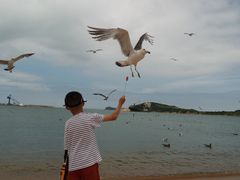 -海驴岛(荣成市)