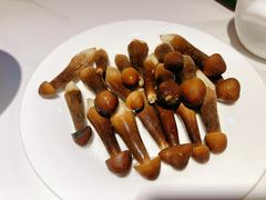 黑鸡枞菌-黑鸡小馆(金源店)