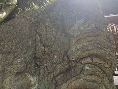 -海口火山口国家地质公园