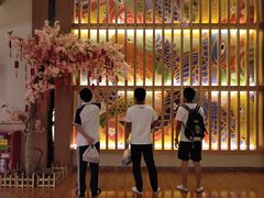 -重庆海昌加勒比海水世界