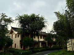 -青城山六善酒店·紫氣園中餐厅