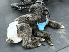 -CrossFit MET综合体能训练馆(朝阳路店)