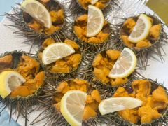 -渔娘渔家丹东海鲜(东直门店)