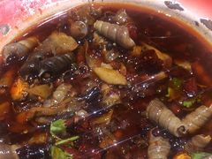 -老姑砂锅·烧烤天津菜(体北道店)