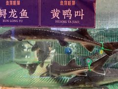 -鱼你相聚·河鲜馆(袁家岭店)