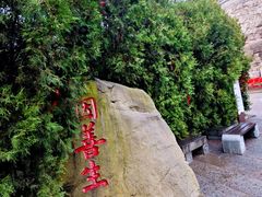 -蒙山大佛景区