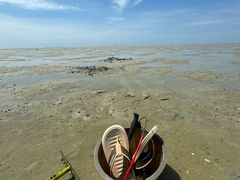 -北海金海湾红树林生态旅游区