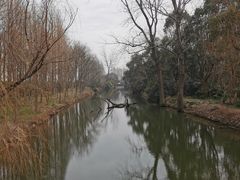 -上海滨江森林公园