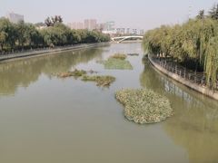-商丘市人民公园