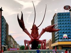 -小李子油焖大虾(天下城旗舰店)