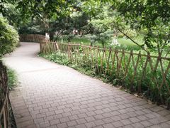 -南山植物园