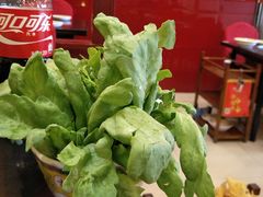 -芦月轩羊蝎子(北蜂窝店)