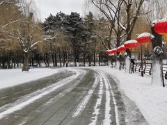 -长春市南湖公园